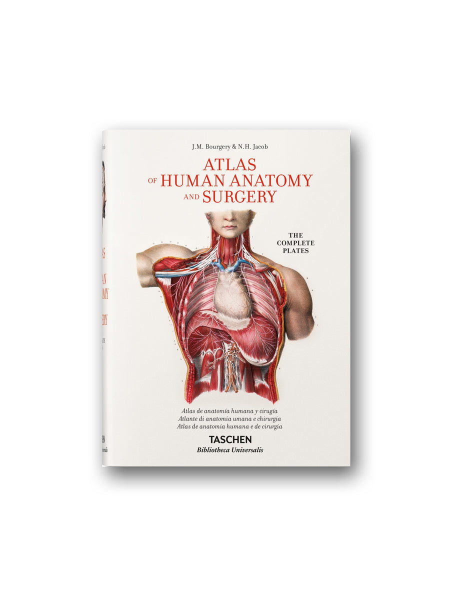 atlas of human anatomy textbook pdf