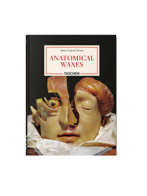 Anatomical Waxes. 45th Edition