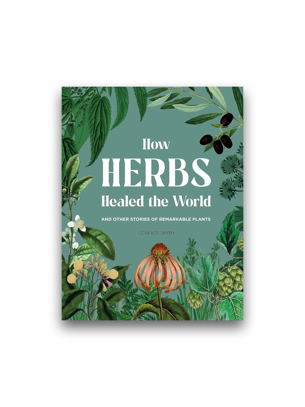 How Herbs Healed the World: And Other Stories of Remarkable Plants