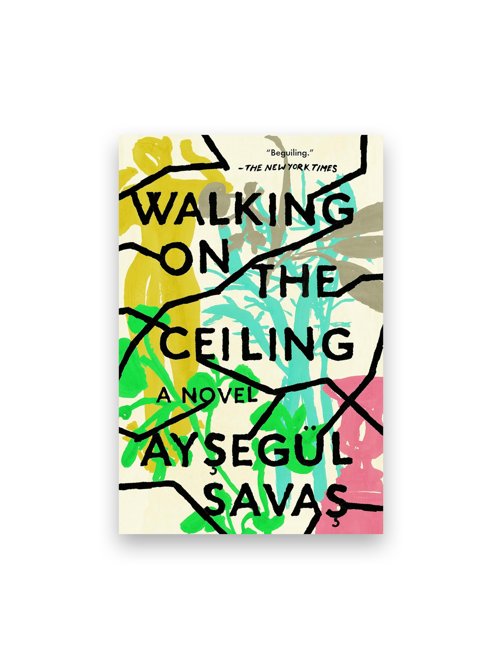 Walking on the Ceiling