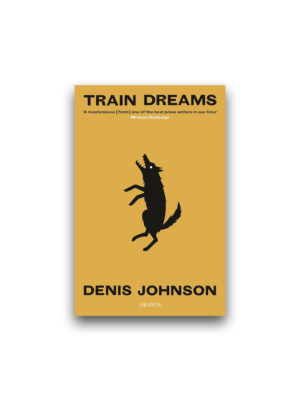 Train Dreams