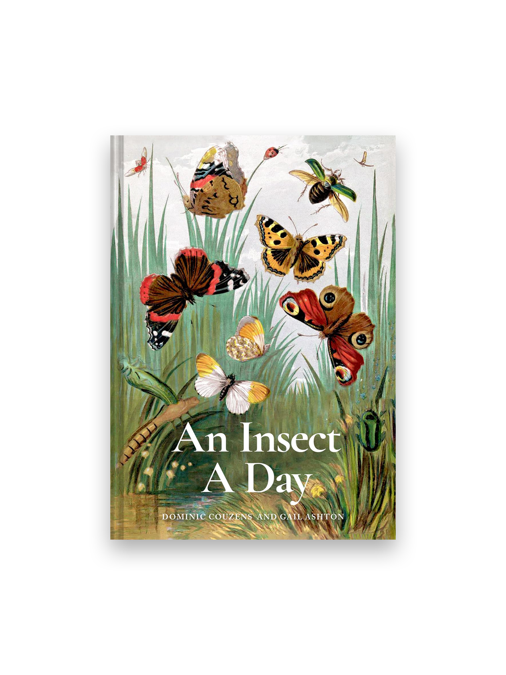 An Insect A Day