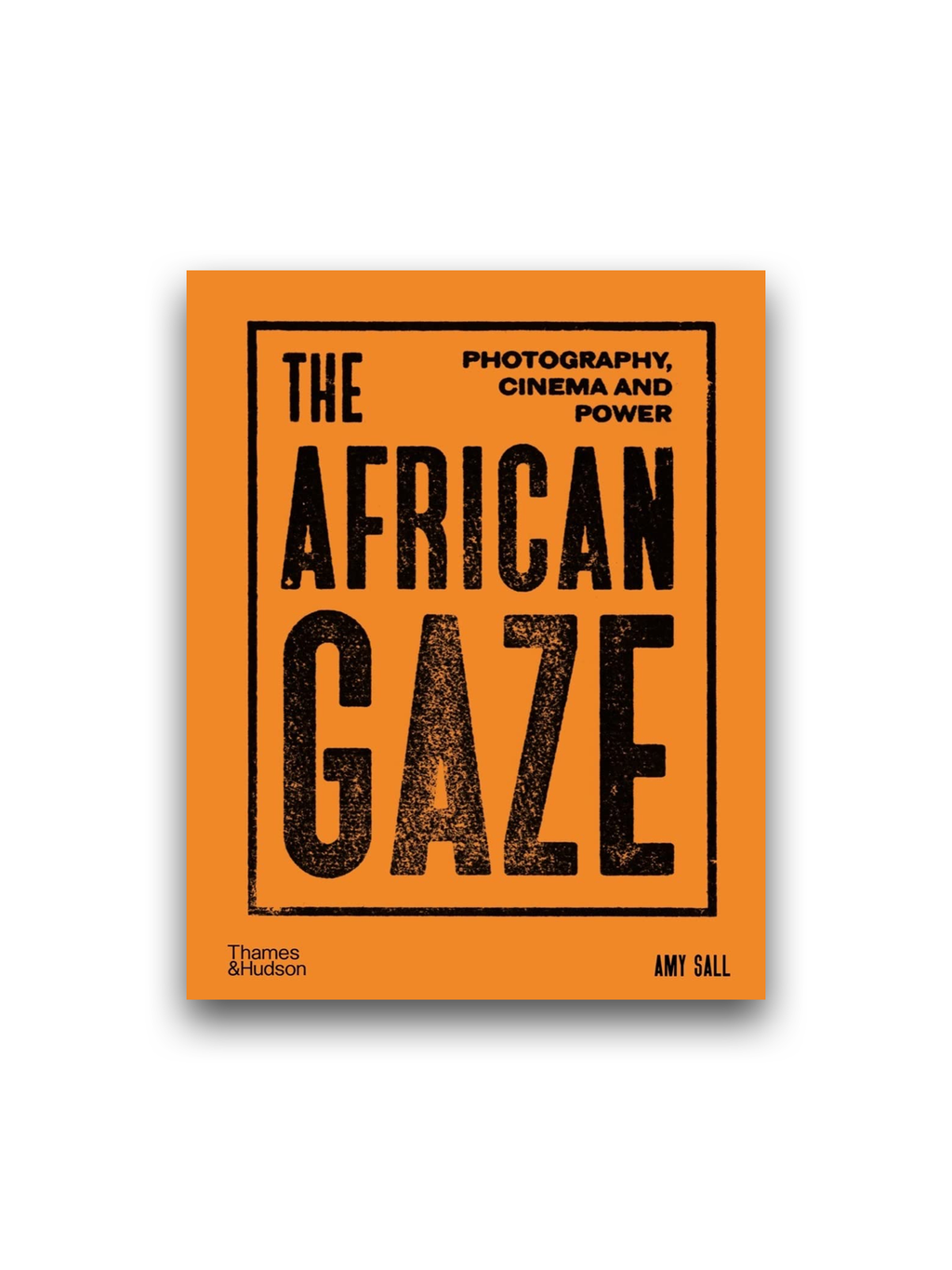 The African Gaze: Photography, Cinema and Power