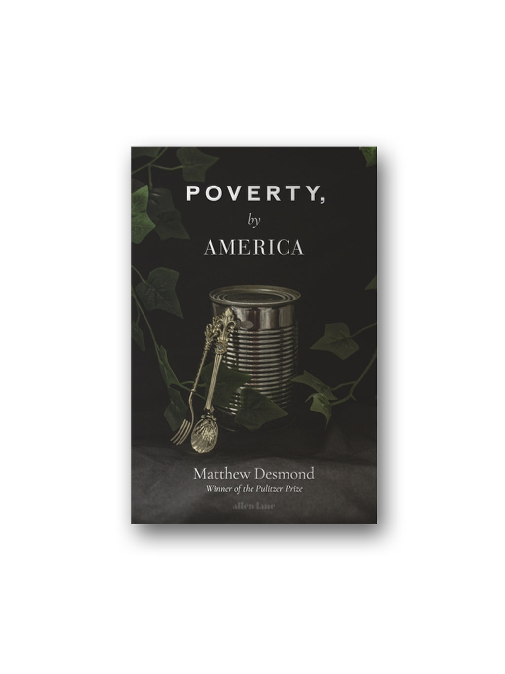 Poverty, by America
