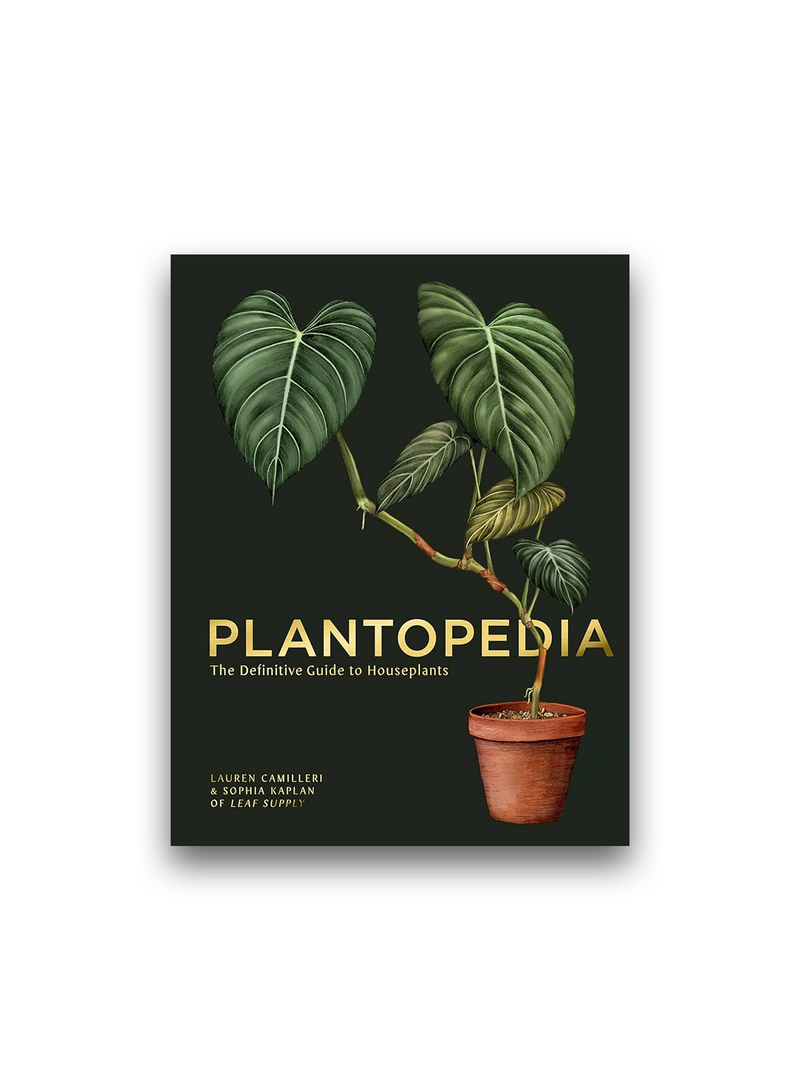 Plantopedia: The Definitive Guide to House Plants