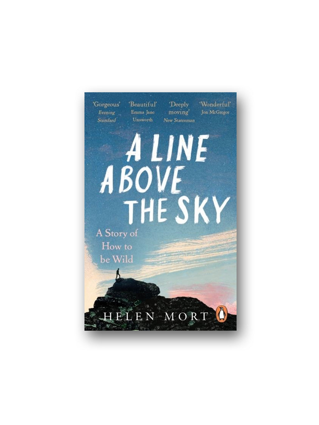 A Line Above the Sky : On Mountains and Motherhood