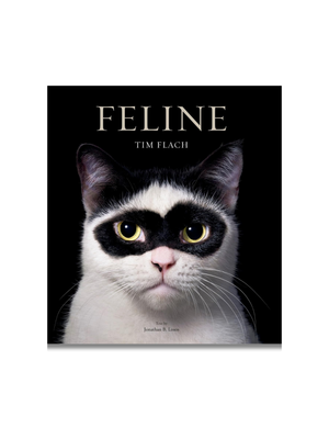 Feline