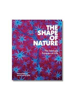 The Shape of Nature