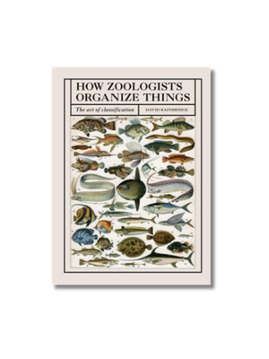 How Zoologists Organize Things