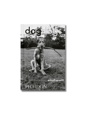 DogDogs Hardcover