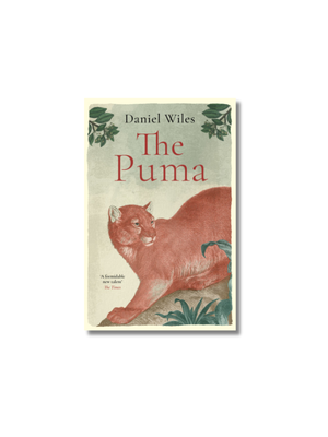 The Puma