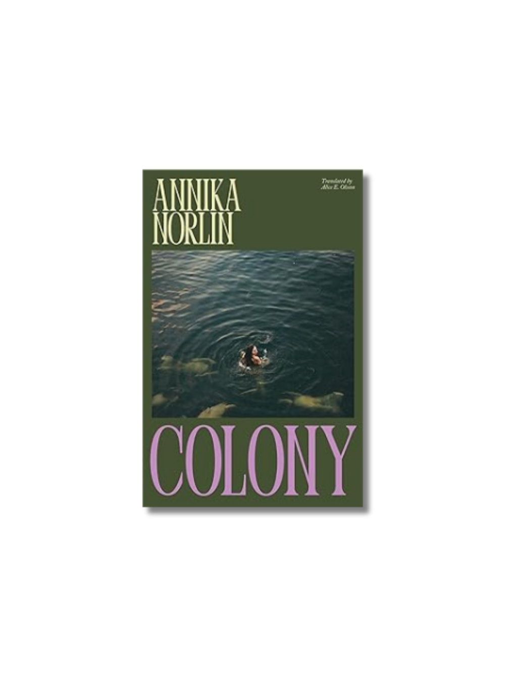 Colony