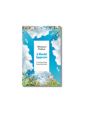 A World Appears