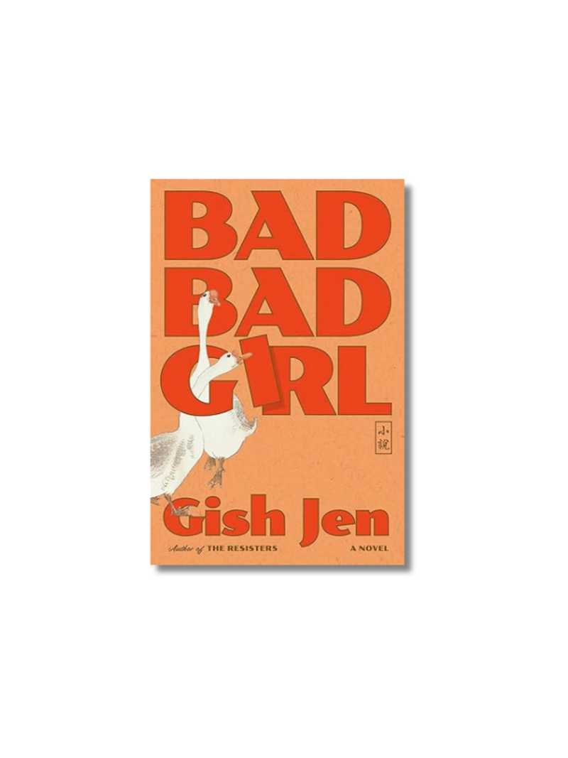 Bad Bad Girl   Hardcover