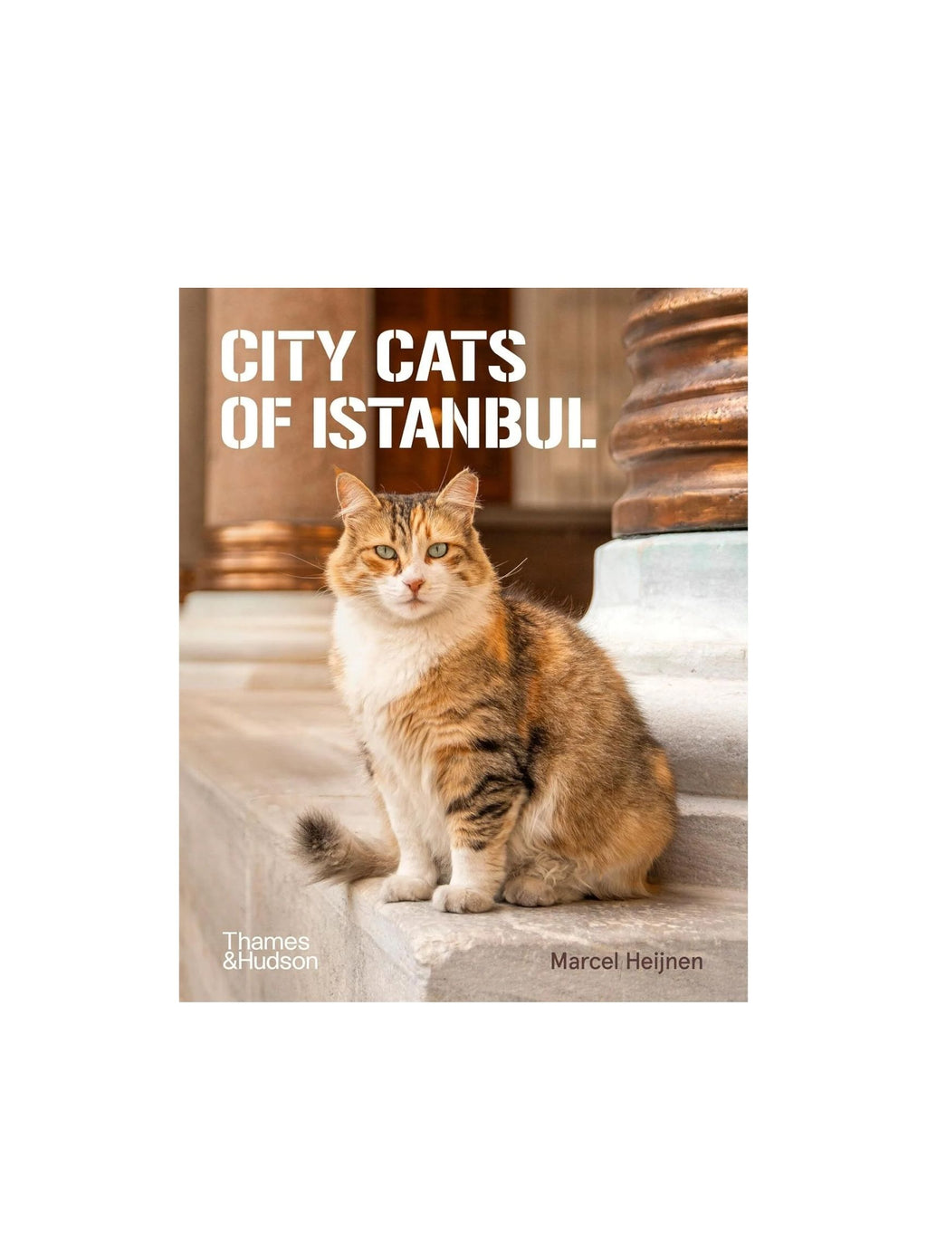 **ÖN SİPARİŞ** City Cats of Istanbul