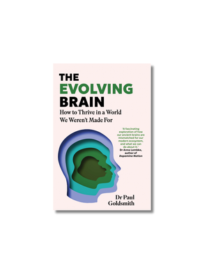 The Evolving Brain