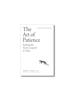 The Art of Patience