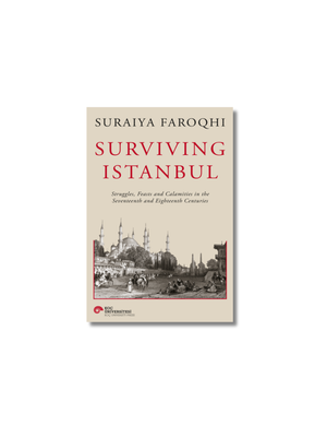 Surviving Istanbul