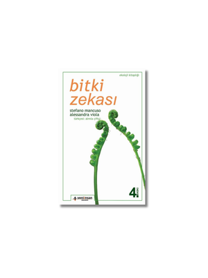 Bitki Zekası