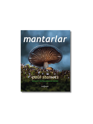 Mantarlar