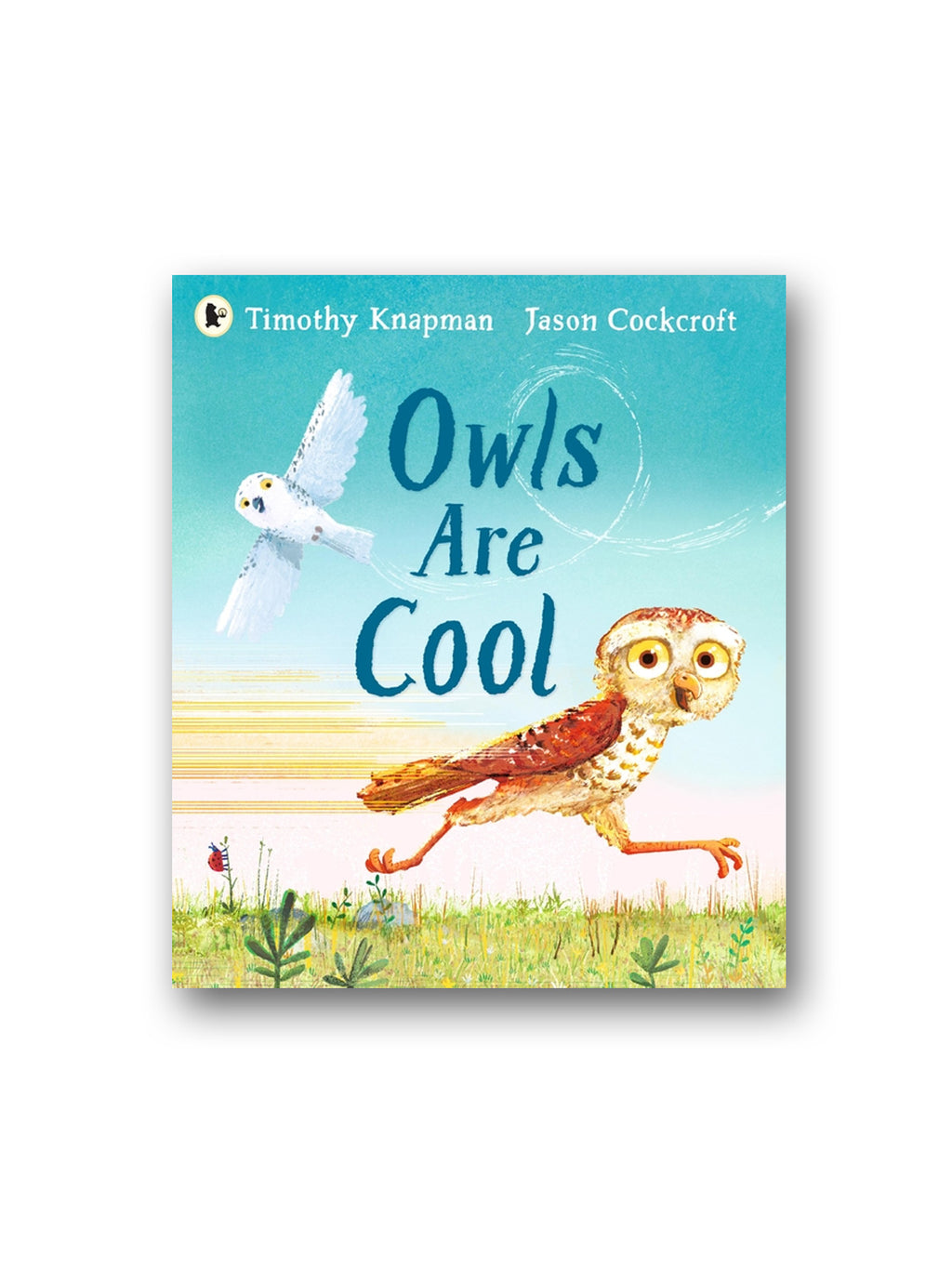 Owls Are Cool