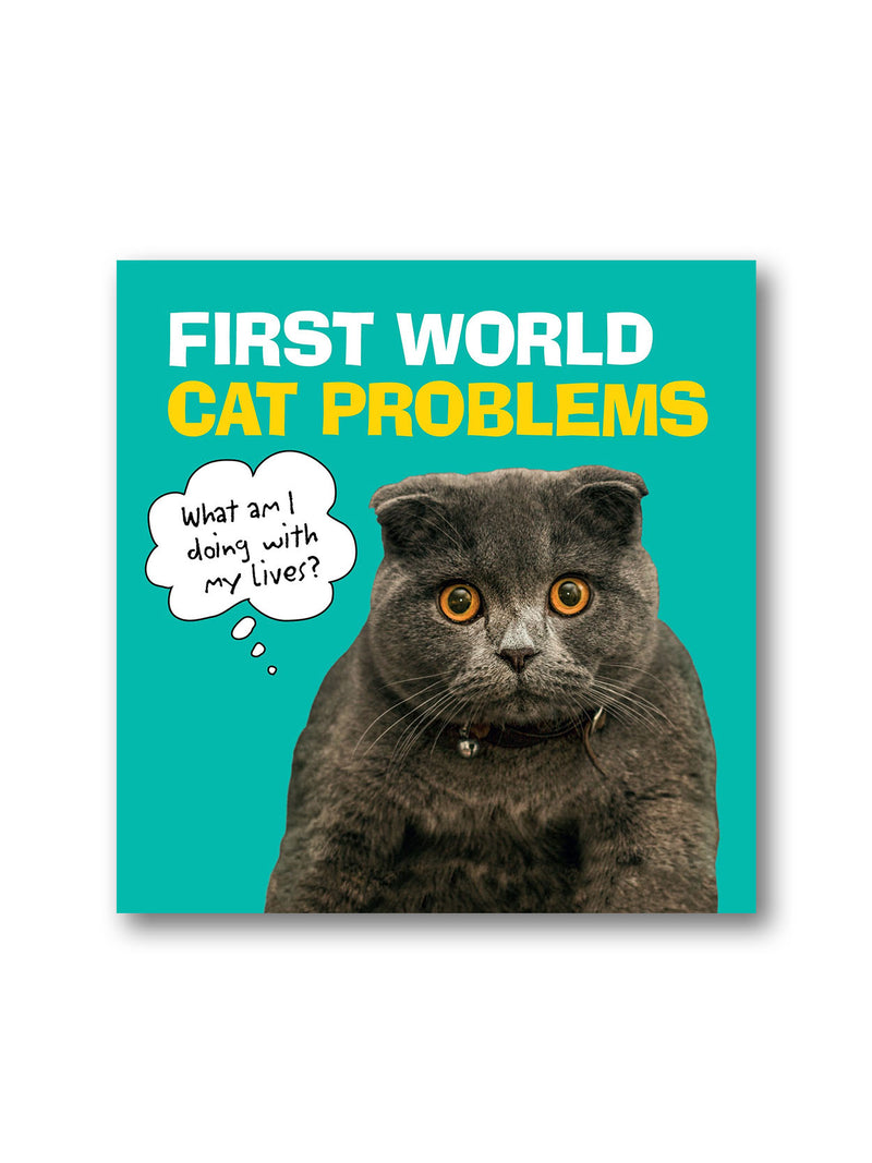 First World Cat Problems : What am I doing with my lives?