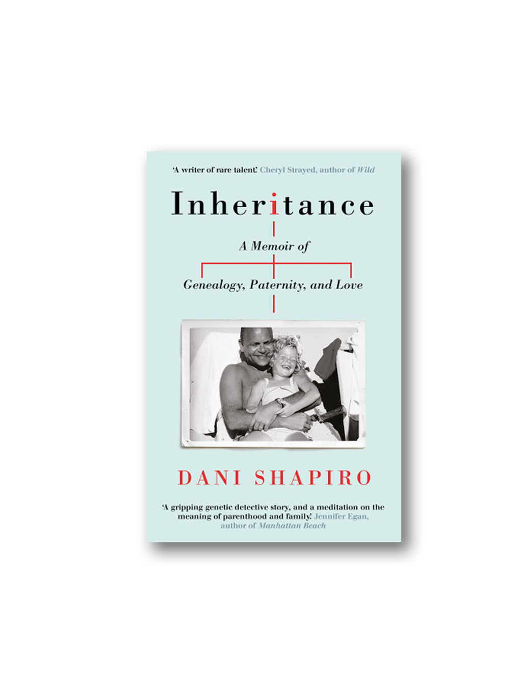 Inheritance : A Memoir of Genealogy, Paternity, and Love
