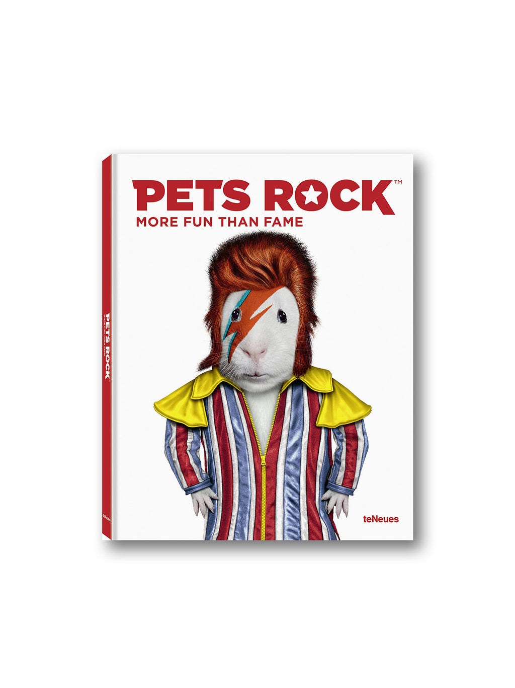 Pets Rock : More Fun Than Fame