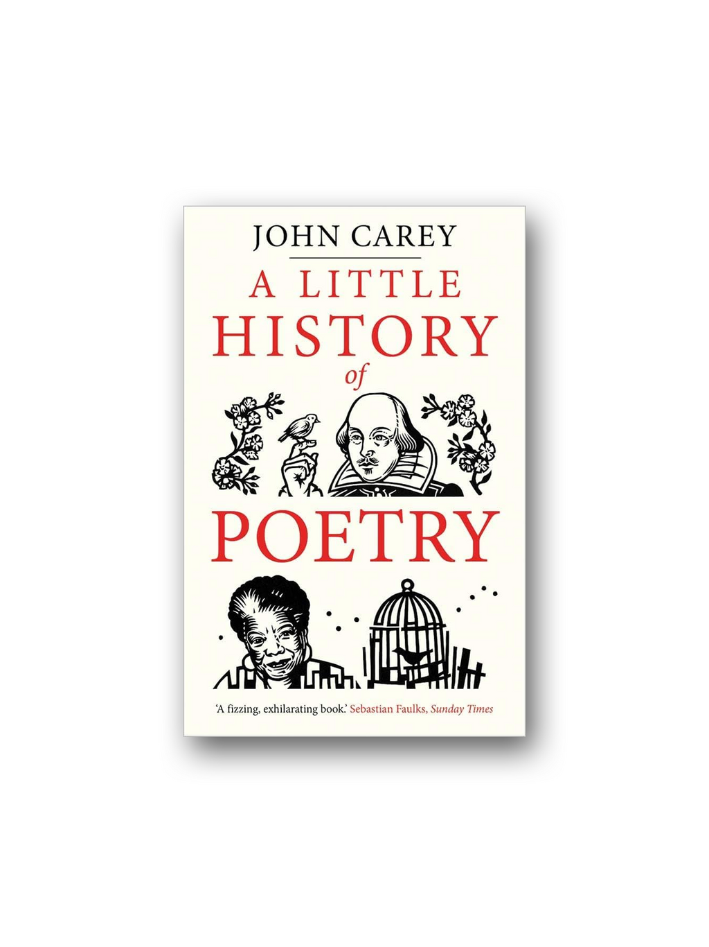 A Little History of Poetry (Hardcover)