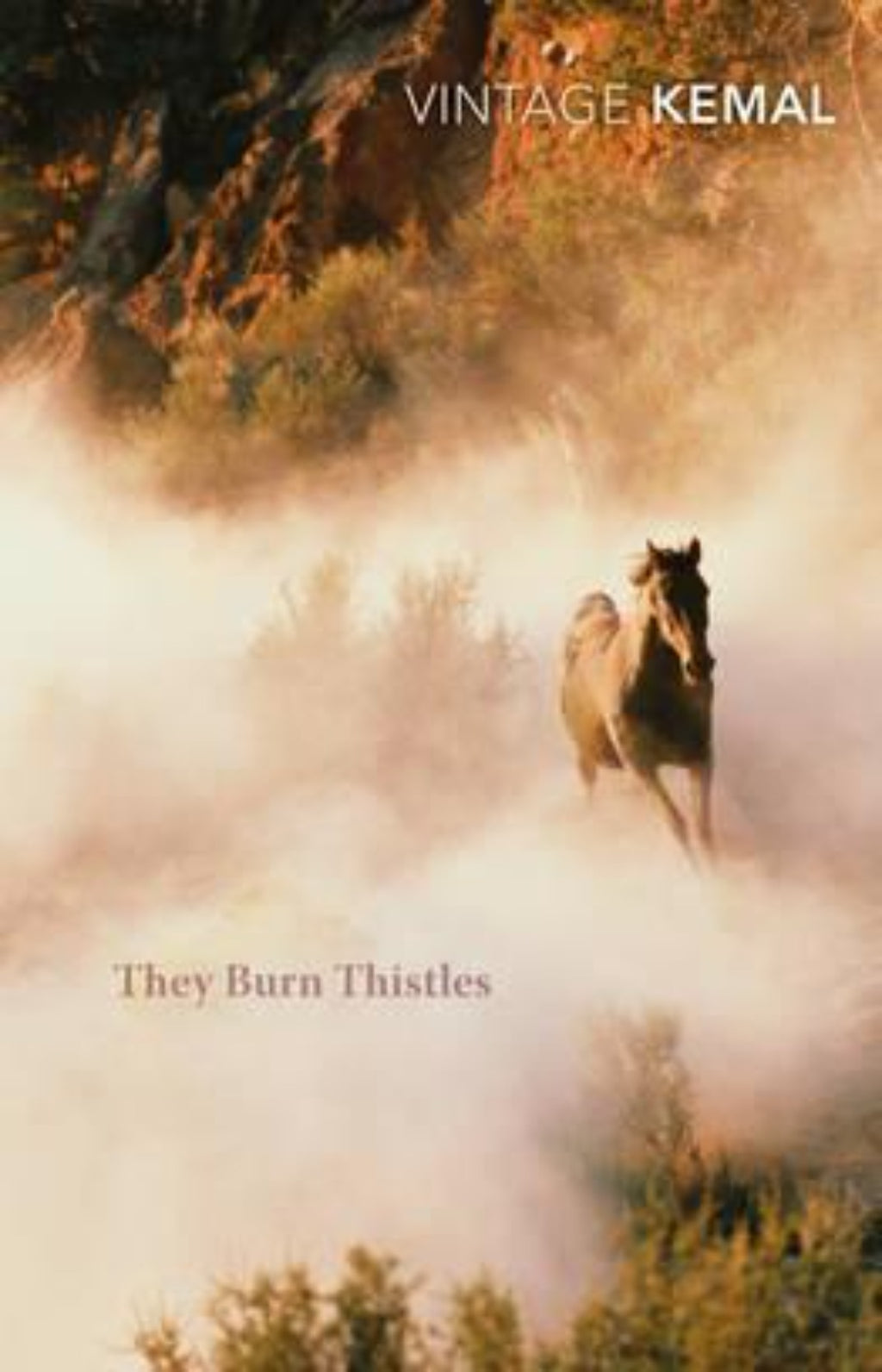 They Burn Thistles