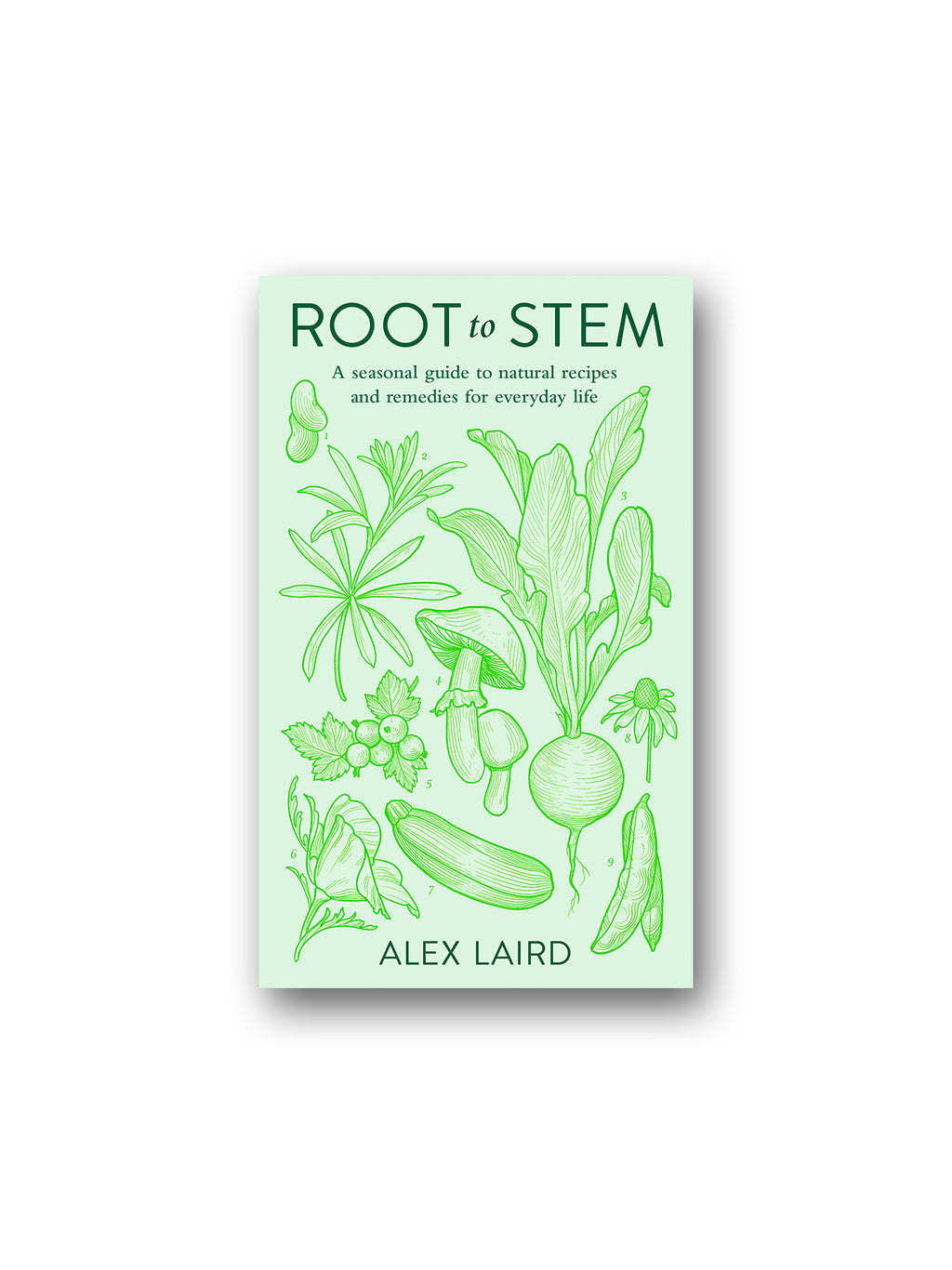 Root to Stem : A seasonal guide to natural recipes and remedies for everyday life