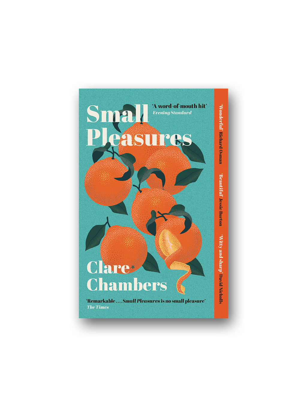 Small Pleasures : Longlisted for the Women's Prize for Fiction 2021