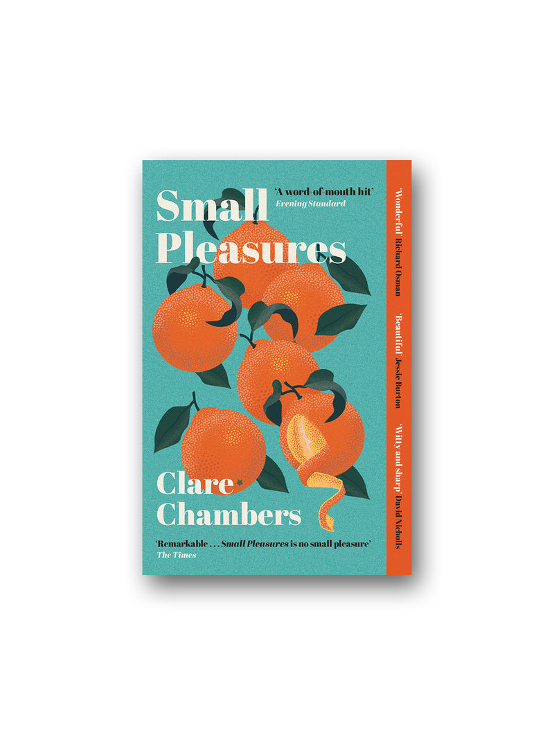 Small Pleasures : Longlisted for the Women's Prize for Fiction 2021