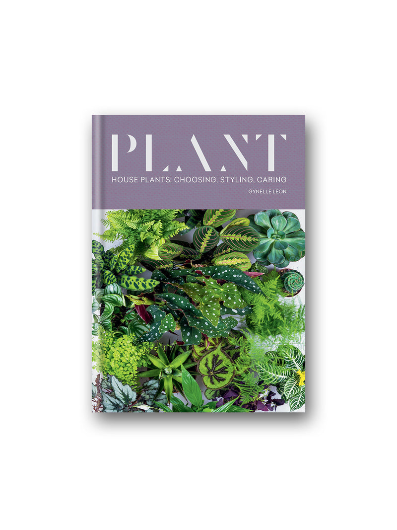 Plant : House plants: choosing, styling, caring