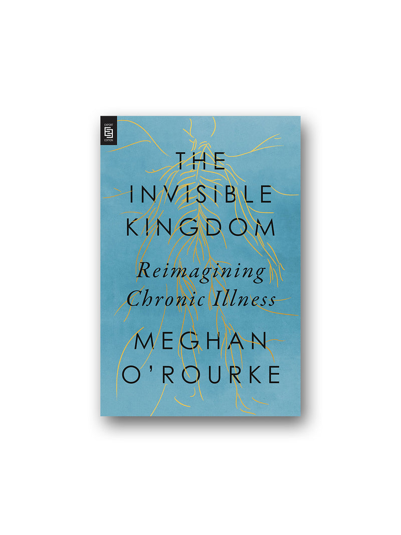 Invisible Kingdom : Reimagining Chronic Illness