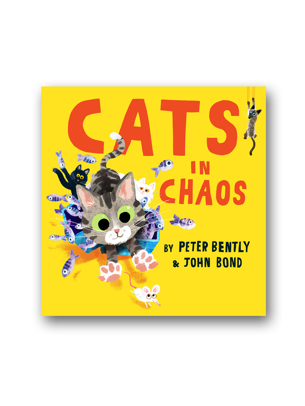 Cats in Chaos