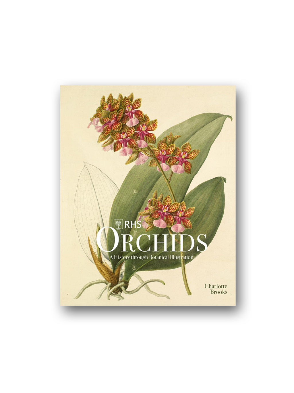 RHS Orchids