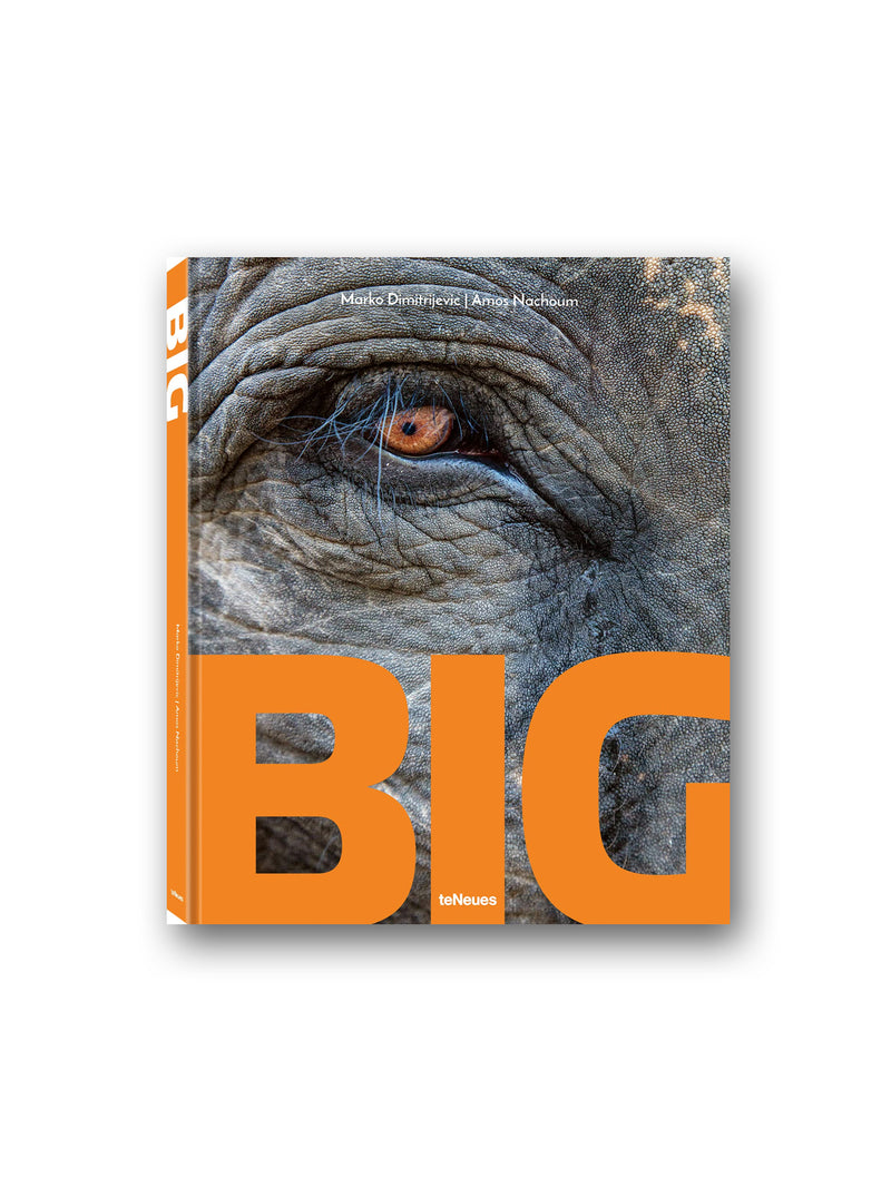 Big : A Photographic Album of the World's Largest Animals