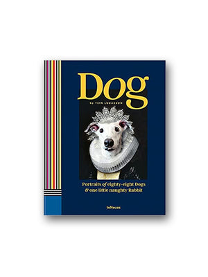Dog : Portraits of Eighty-Eight Dogs and One Little Naughty Rabbit