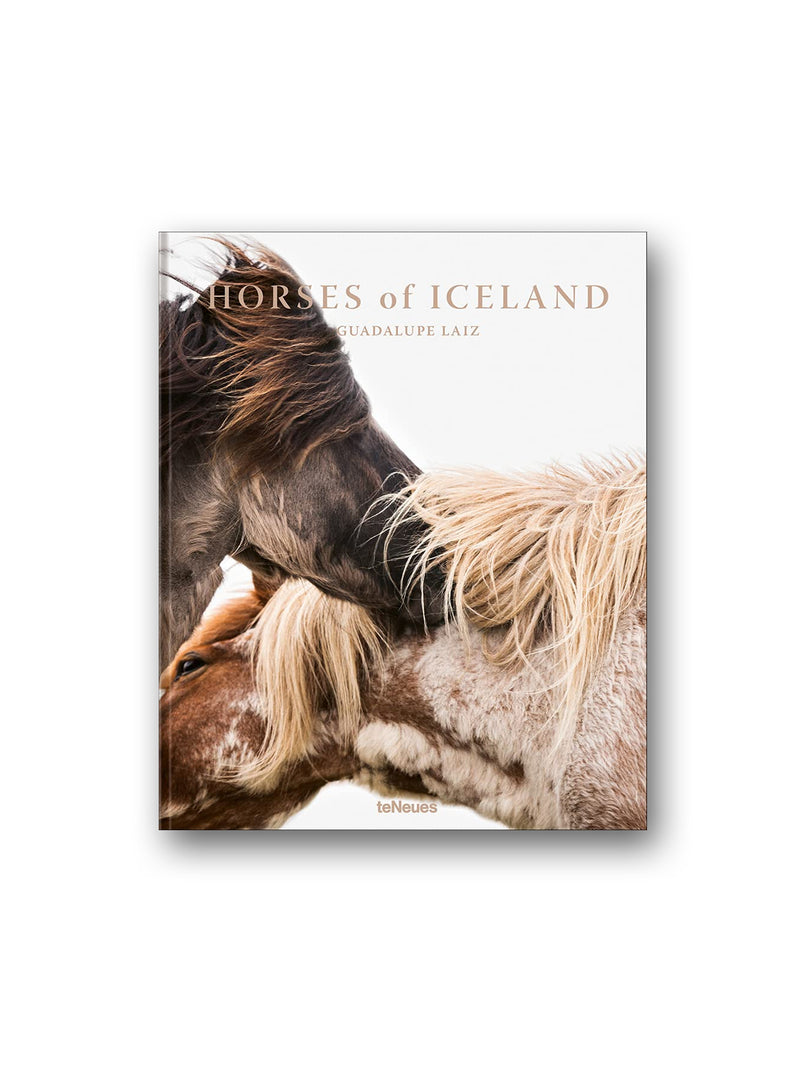 Horses of Iceland