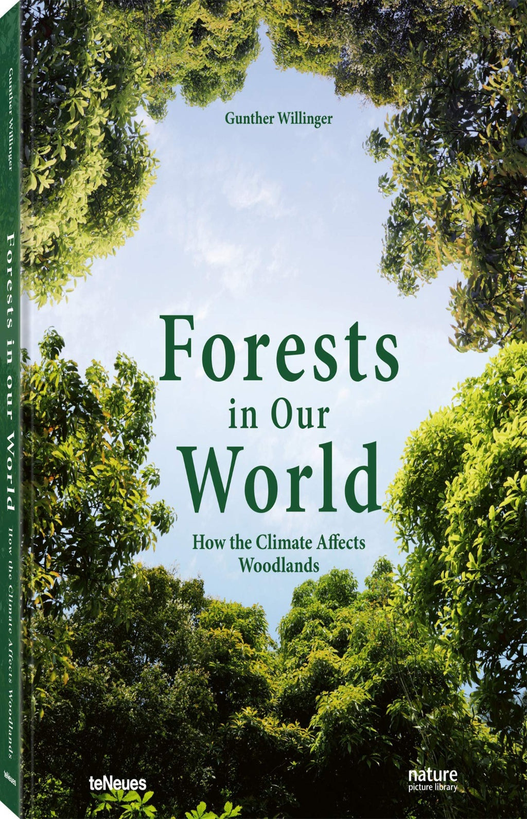 Forests in Our World: How the Climate Affects Woodlands